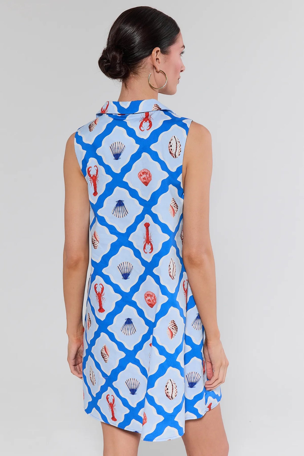Ellen Blue Seaside Short Dress back view, sleeveless A-line shift with blue lattice marine print, collared neckline | Avara