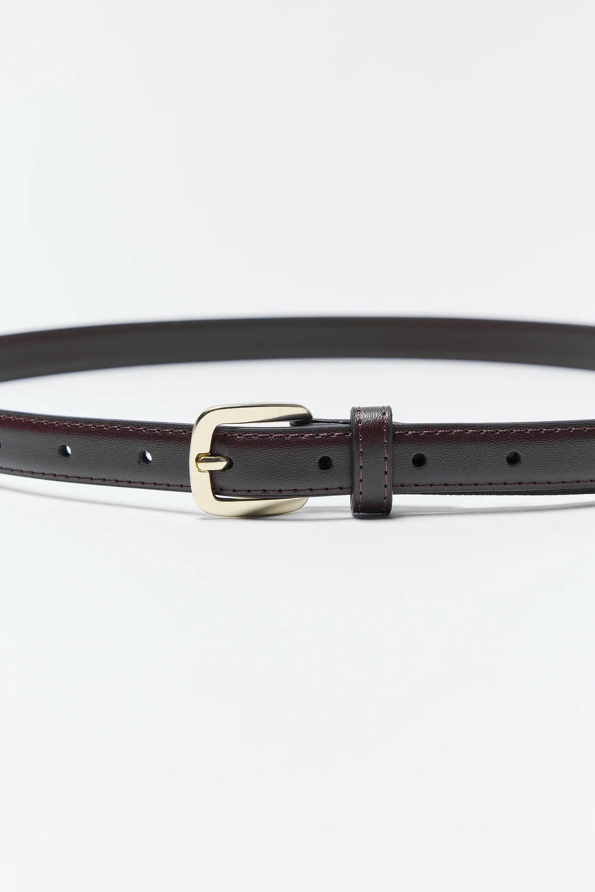 Aubrey Brown Buckle Belt with Gold-Tone Hardware - Close-Up Detail | Avara