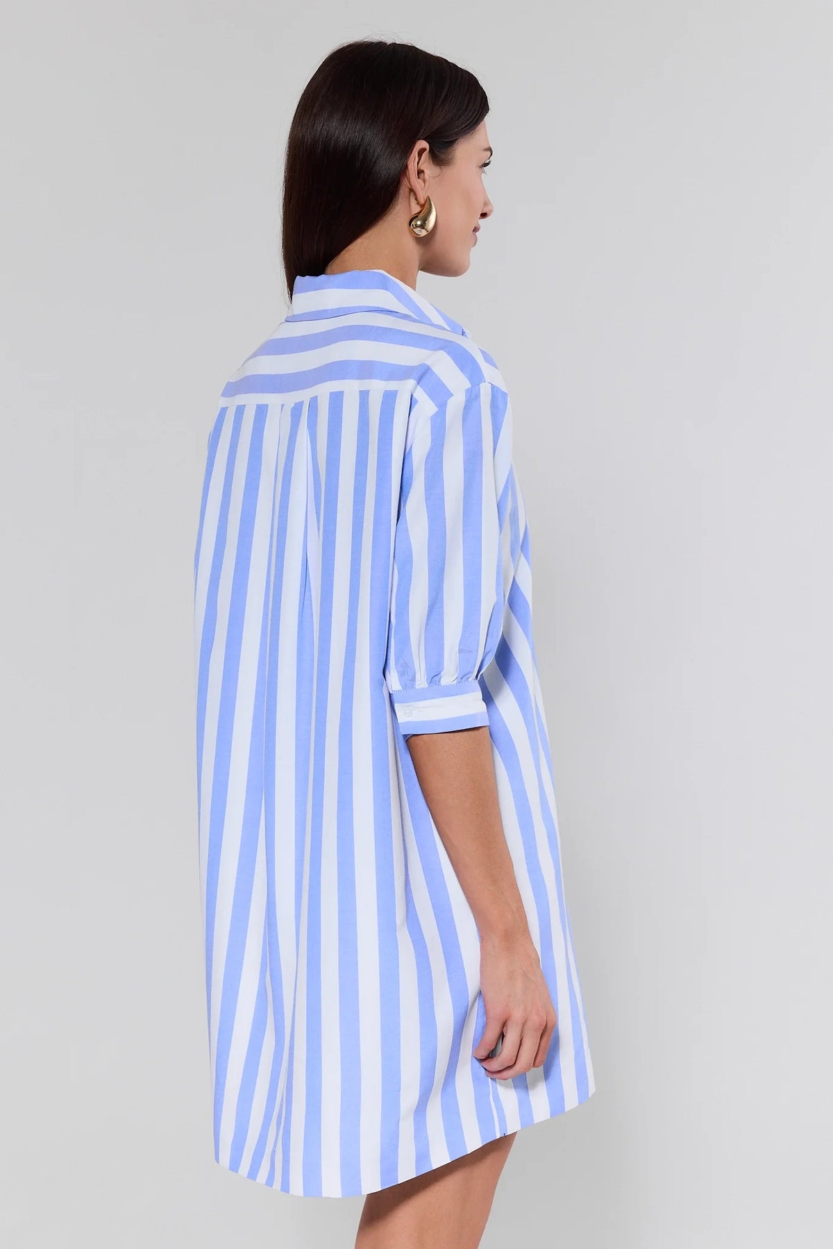 Colby Blue Striped Short Dress back view showing relaxed shift fit and puff elbow sleeve detail | Avara