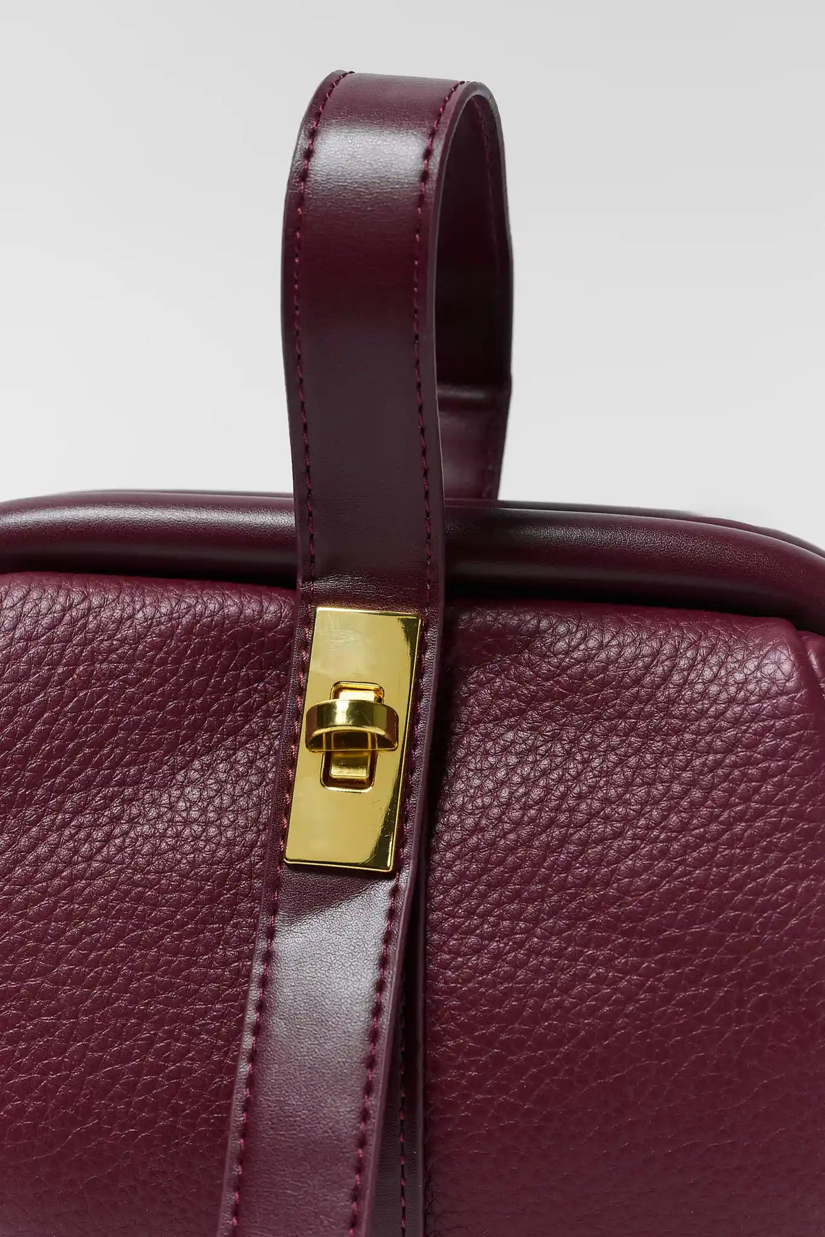 Burgundy Mini Crossbody Bag - Gold Turnlock and Handle Close-Up Detail | Avara