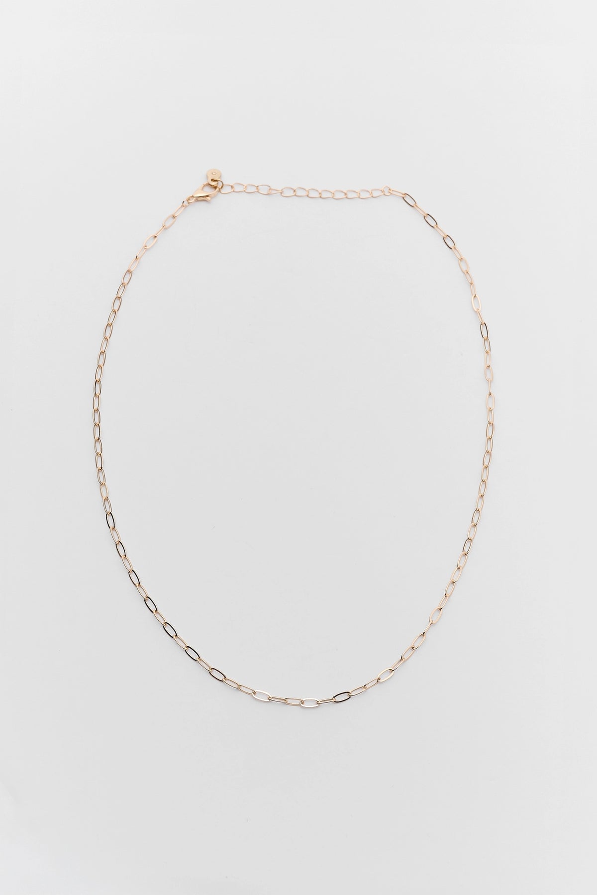 Gold Dainty Paperclip Chain Necklace with lobster clasp and extender - Flat Lay | Avara