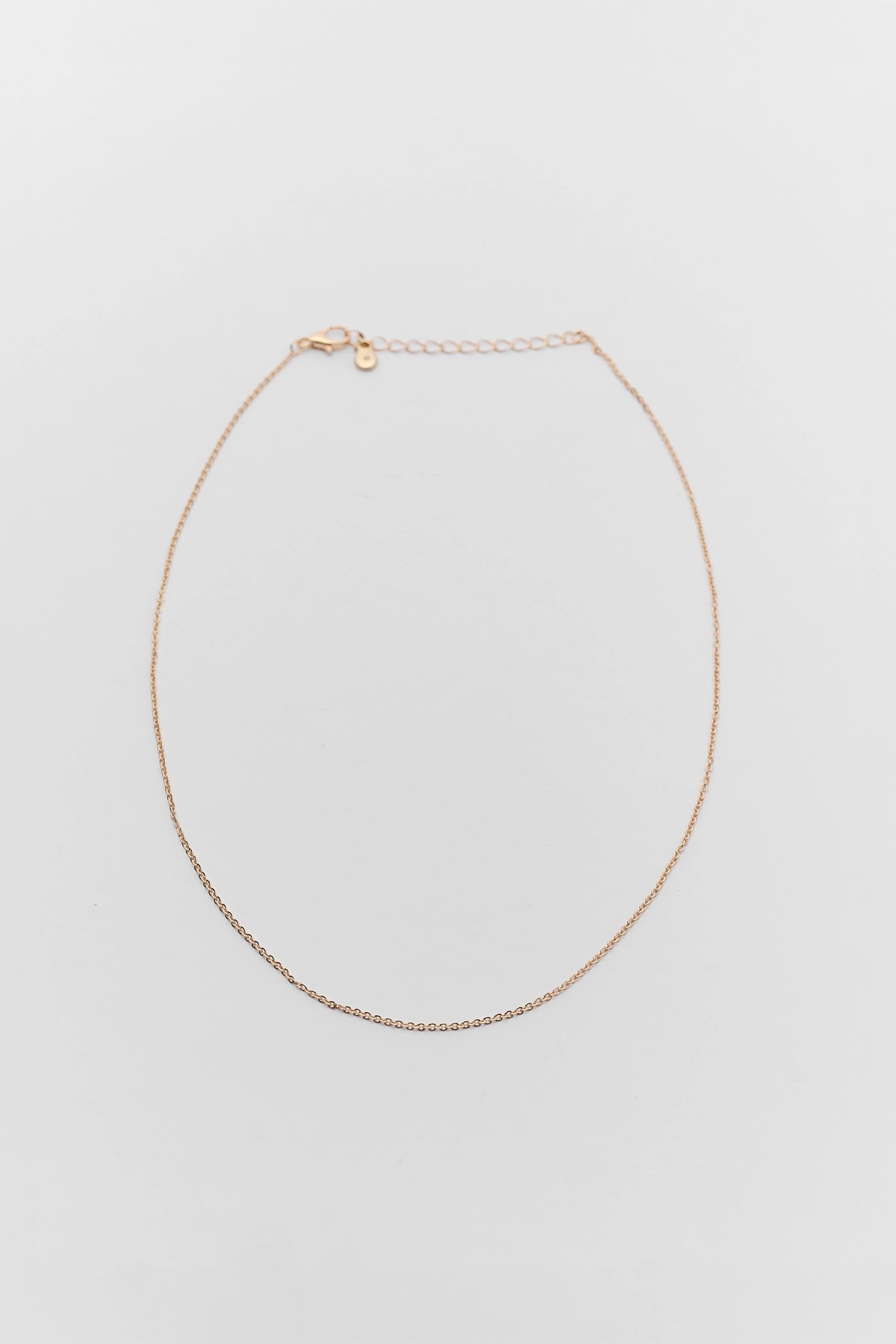 Dainty gold chain necklace with lobster clasp and extender - Flat Lay | Avara