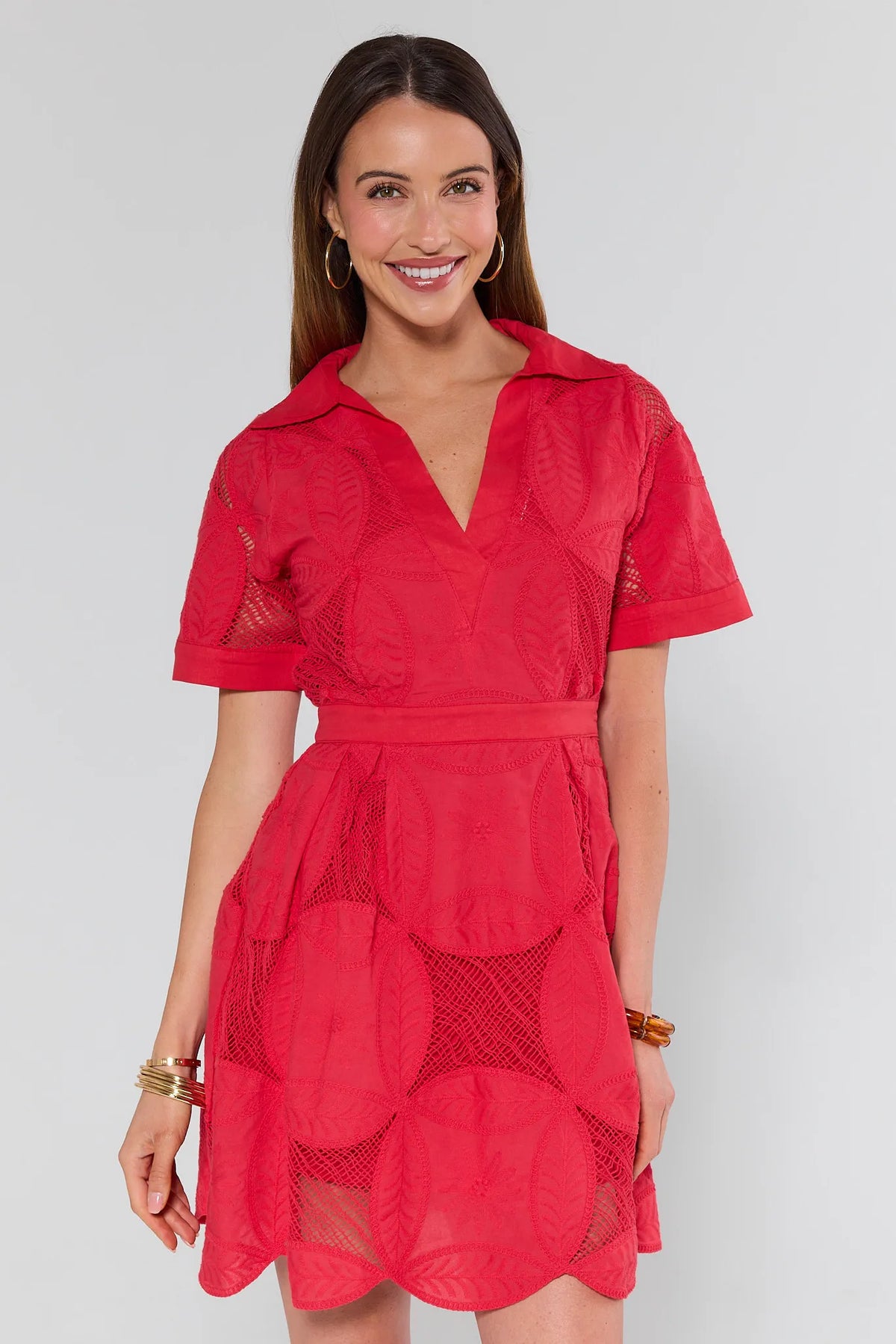 Annie Red Netted Short Dress, collared V-neck, short sleeves, A-line - Front View | Avara