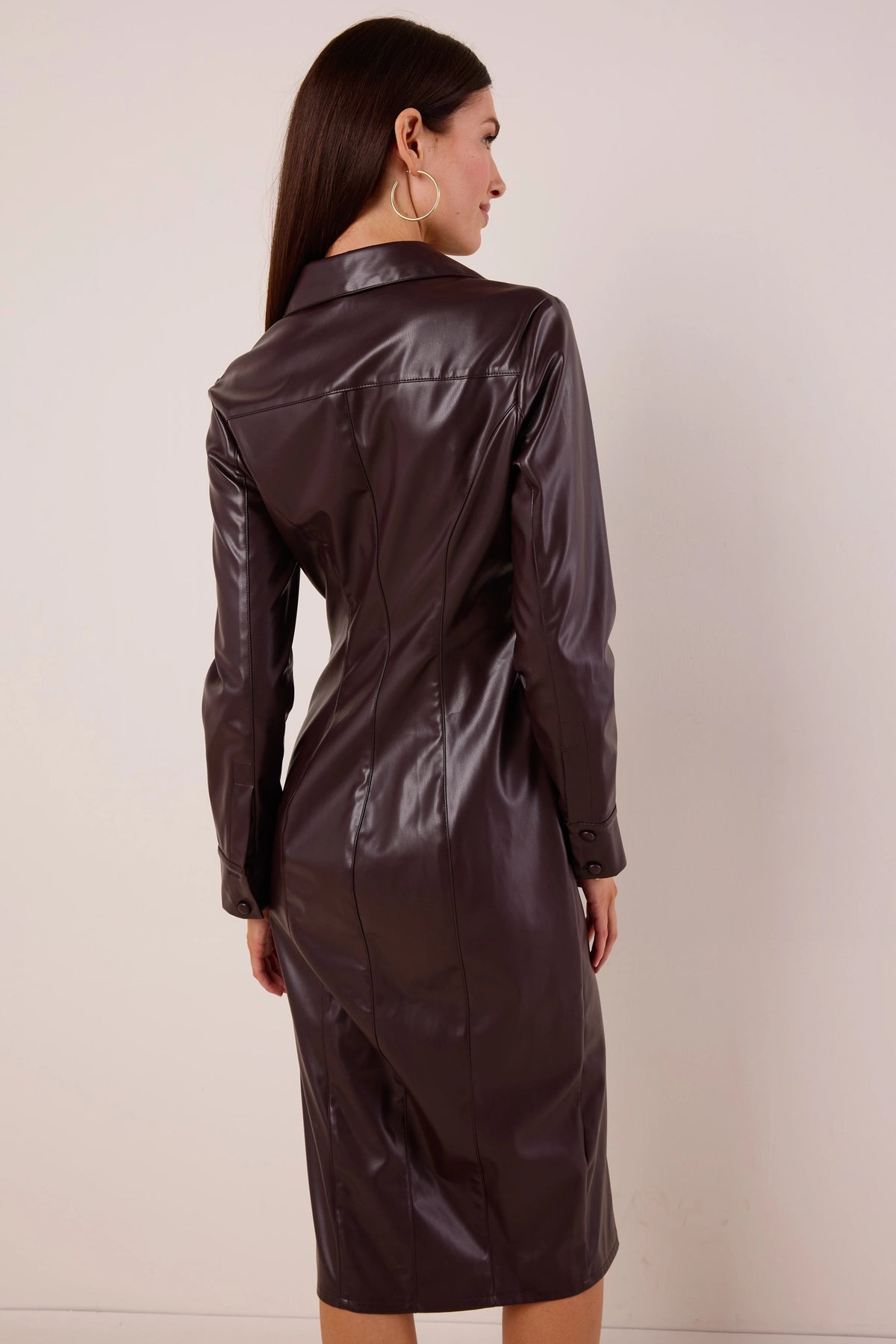 Rena Brown Faux Leather Midi Dress, long sleeves, fitted sheath silhouette with vertical seams - Back View | Avara