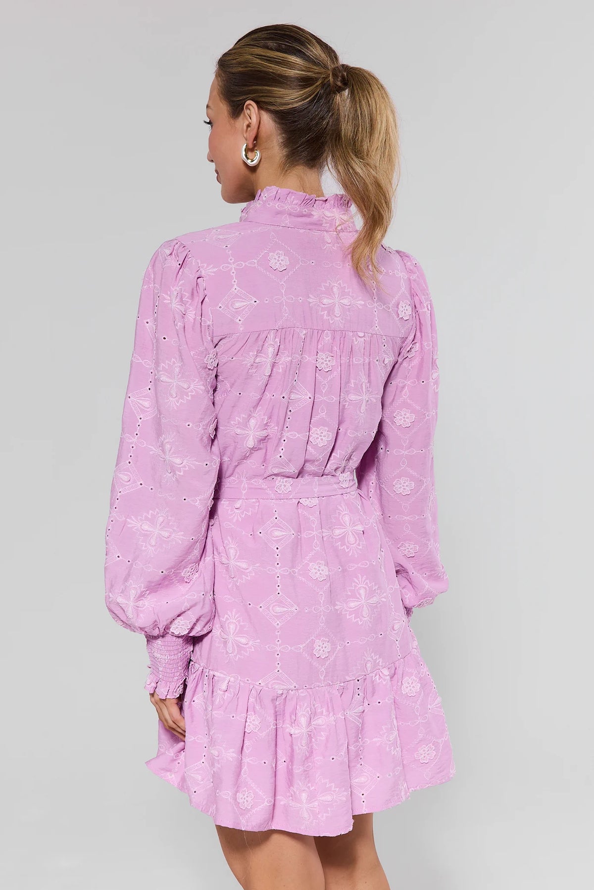 Orchid Lilac Embroidered Short Dress with floral pattern - Back View | Avara