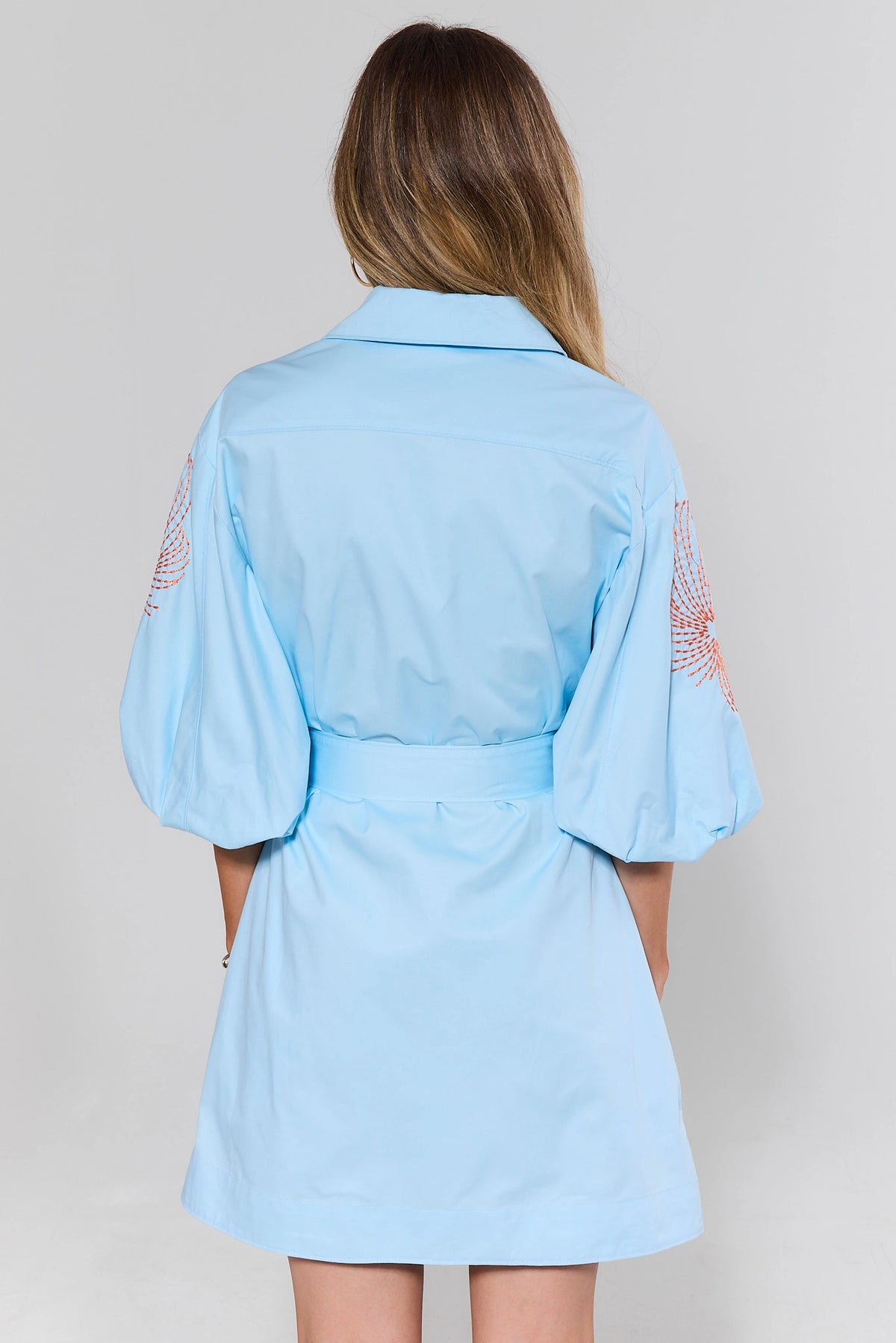 Regina Blue Embroidered Short Dress - Back View showing puff sleeves, belted waist, and A-line skirt | Avara