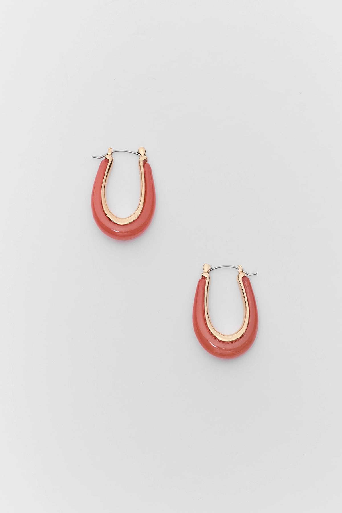 Coral Acrylic Hoop Earrings with gold-tone hardware - Flat Lay | Avara