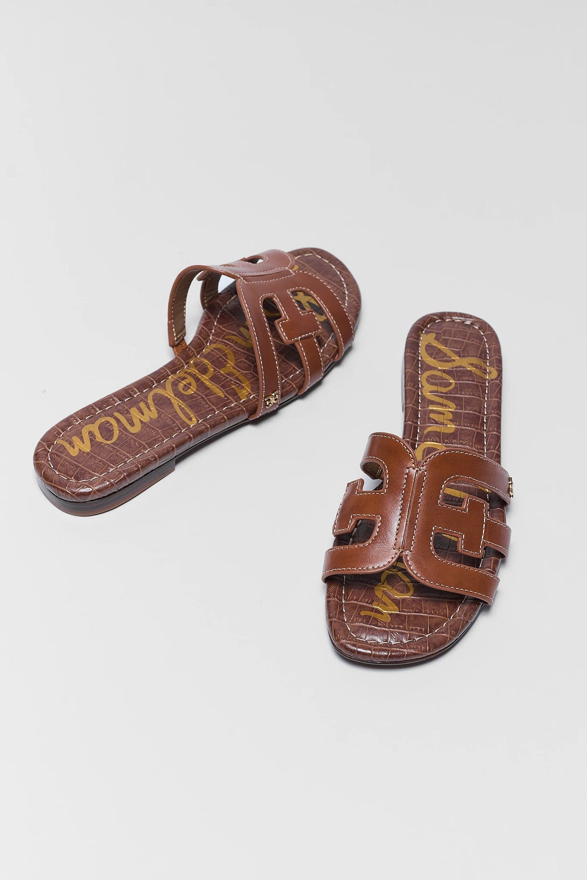 Camel Bay Slide Sandals by Sam Edelman - Pair Flat Lay, Cutout Leather Strap Detail | Avara