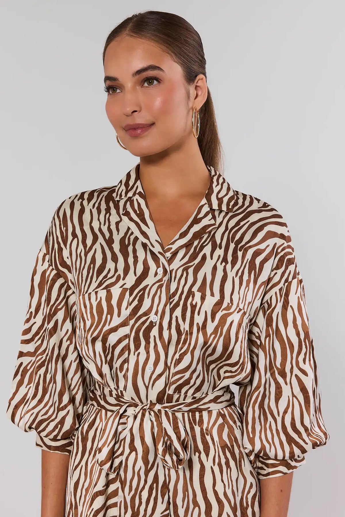 Brown zebra print dress close-up showing collared neckline and button-front detail | Avara