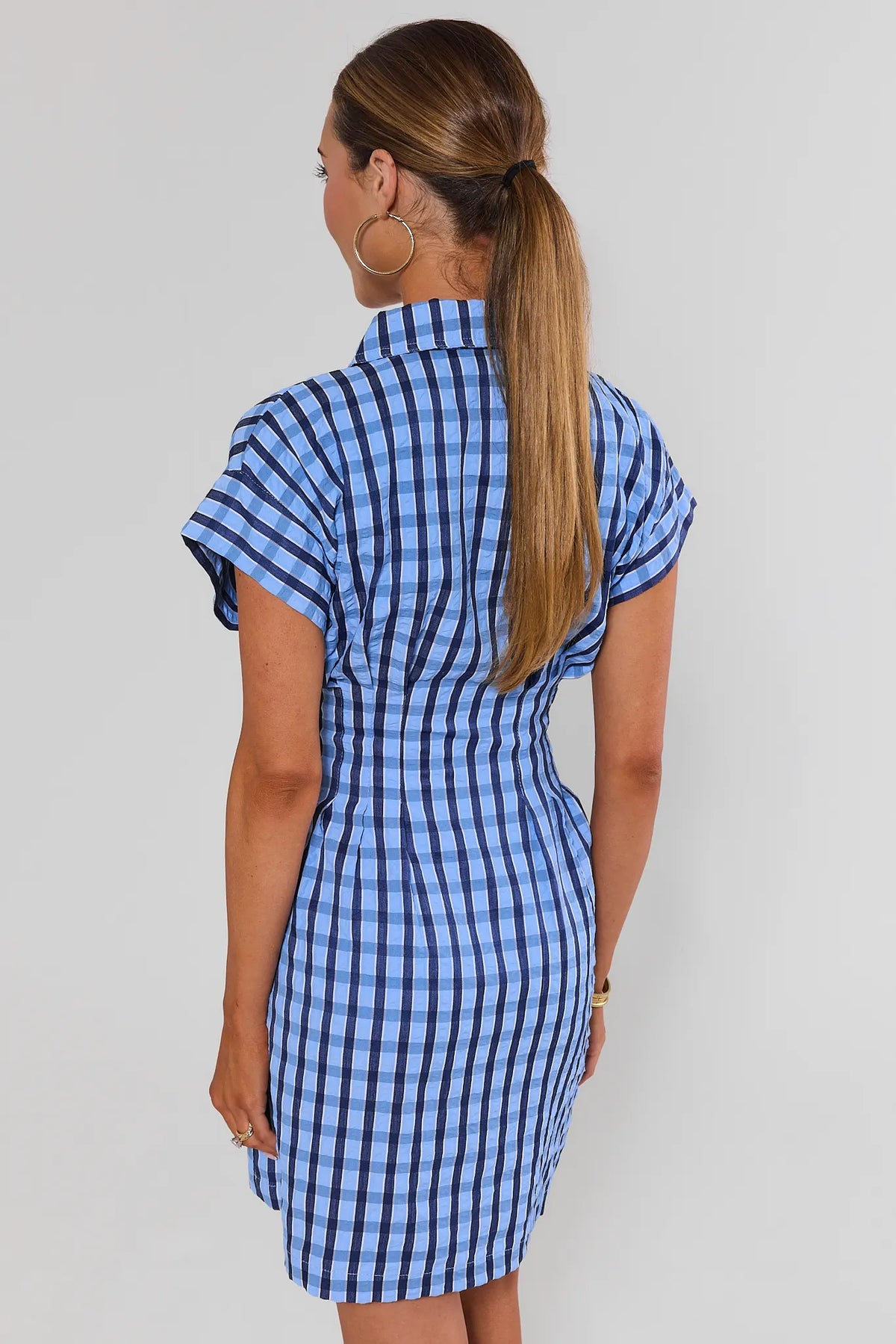 Blue Gingham Collared Short Dress by THML - Back View Showing Collar, Cap Sleeves & A-Line Hem | Avara