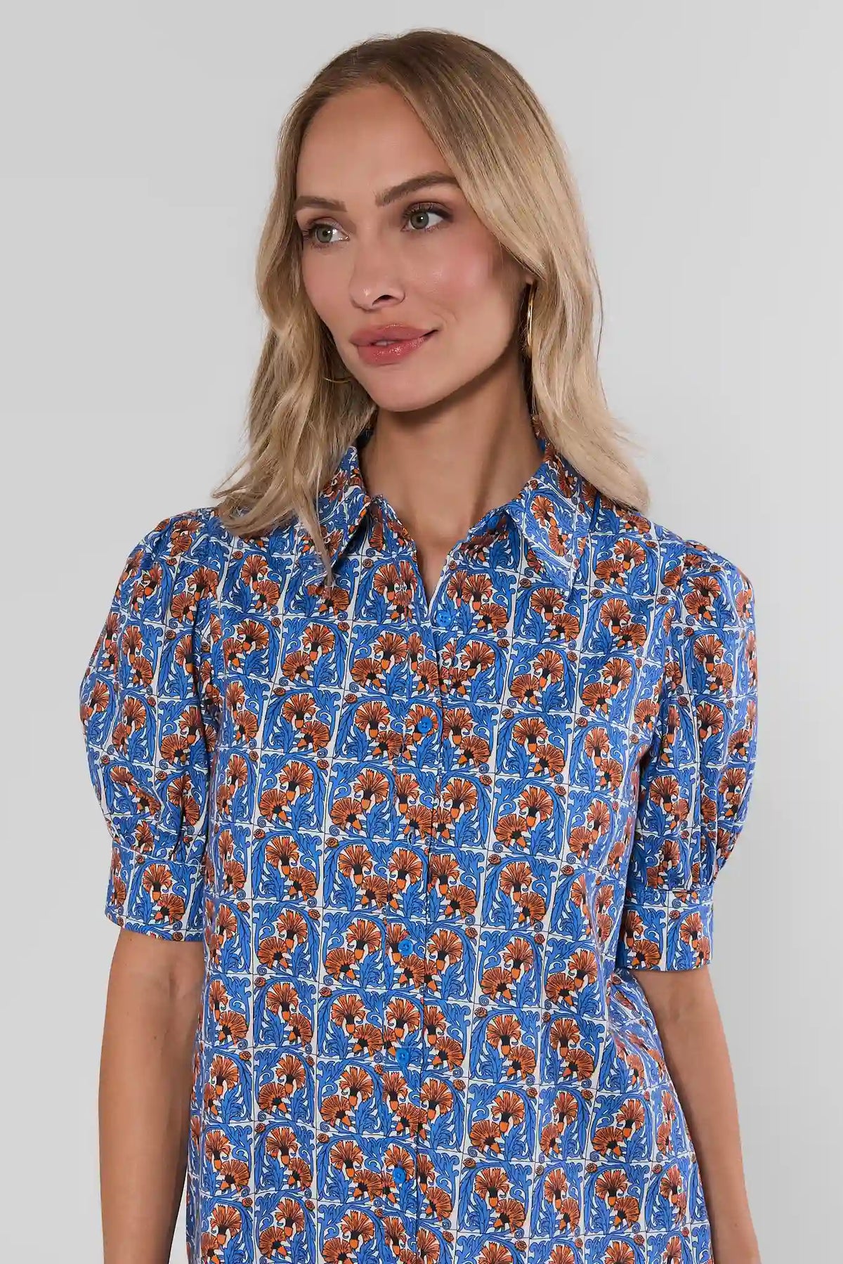 Blue Printed Drop Waist Dress - Collar & Puff Sleeve Close-Up Detail | Avara