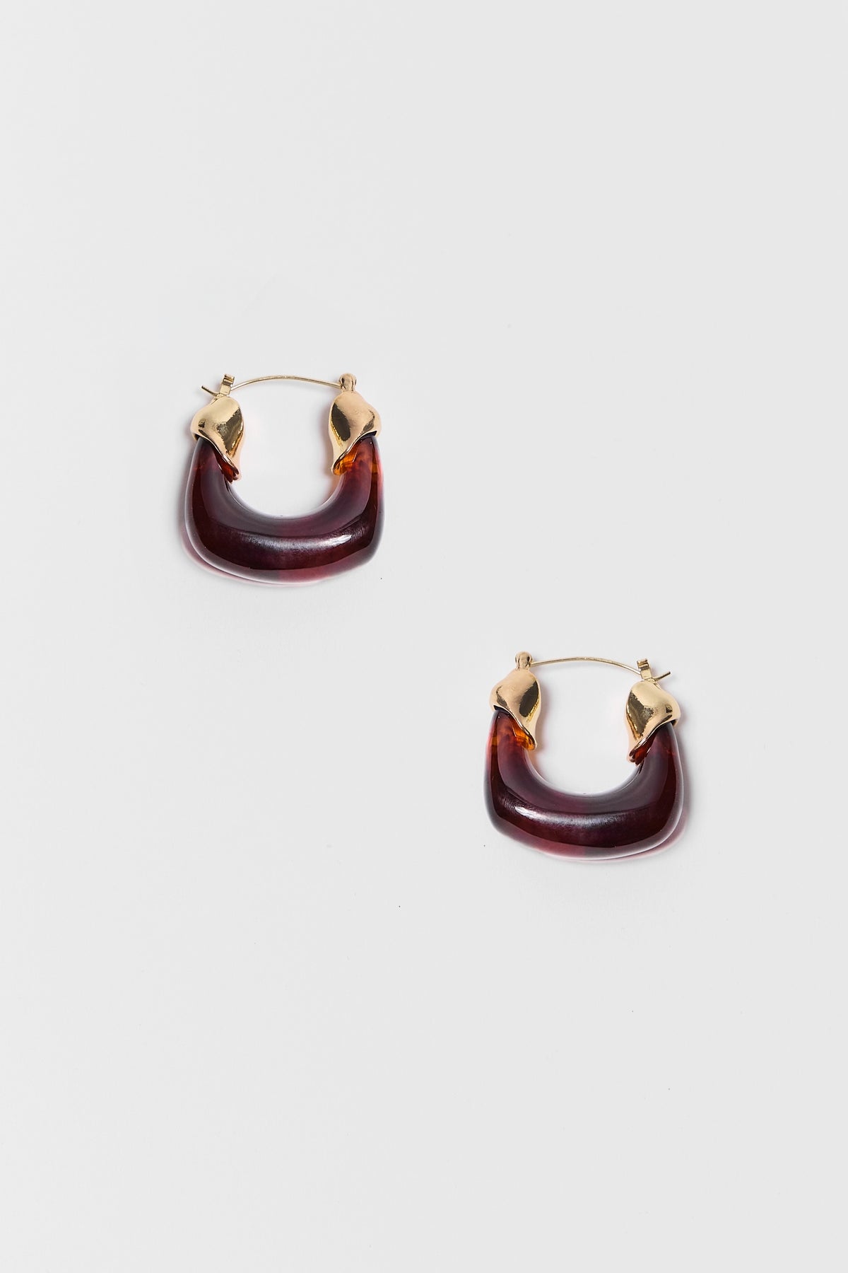 Tortoise Acrylic Hoop Earrings with Gold-Tone Hardware - Flat Lay Pair | Avara