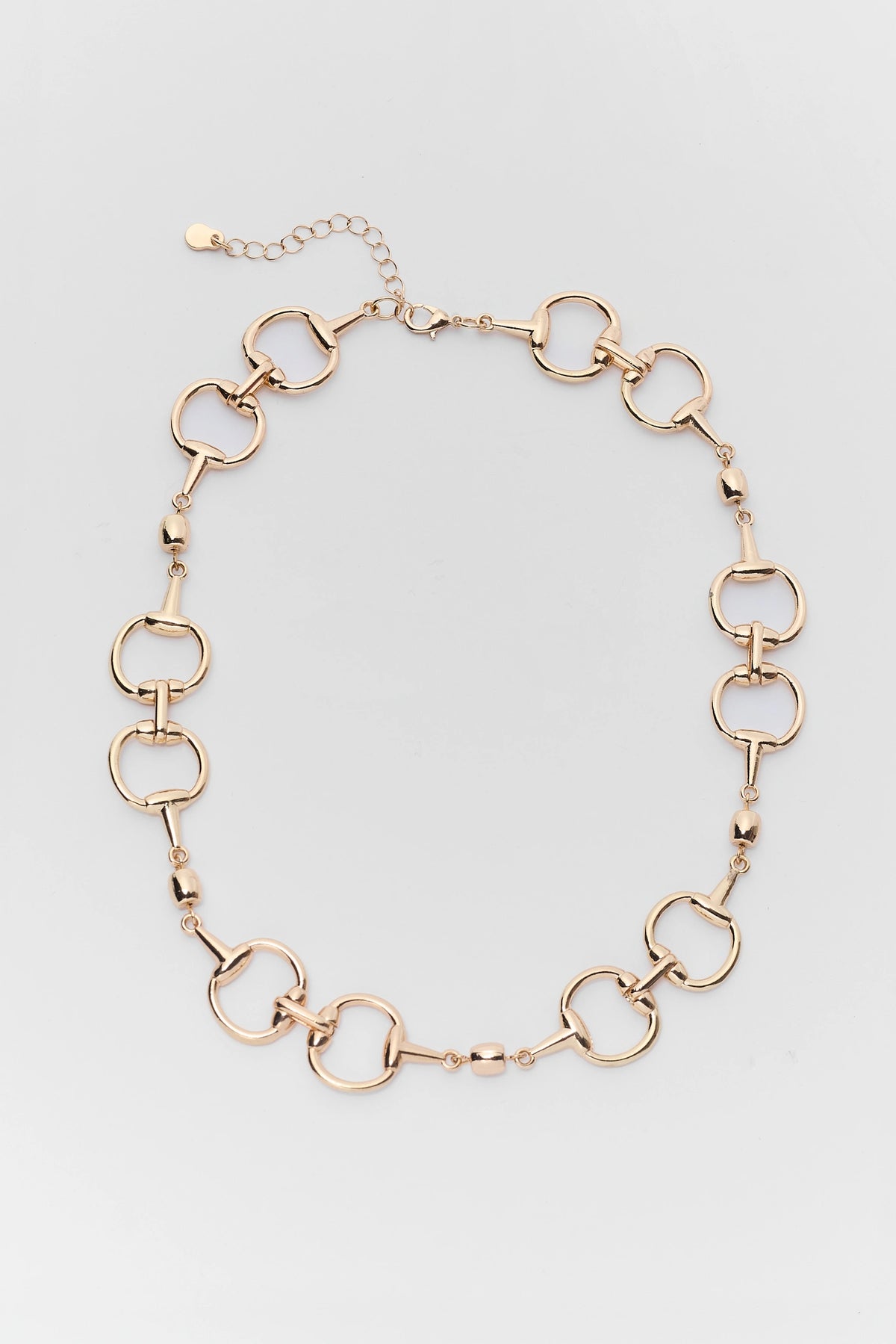 Gold Horsebit Chain Necklace - Flat Lay | Avara